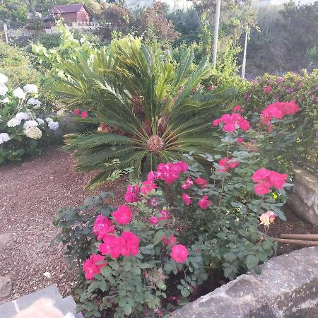 El Lagar De Piedra Villa San Juan de la Rambla Dış mekan fotoğraf
